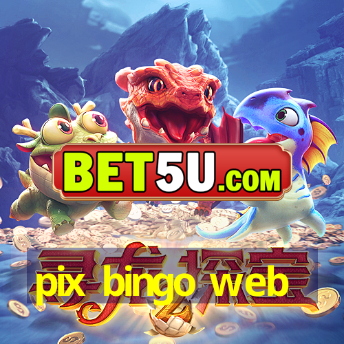 pix bingo web